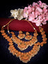 Gold Toned Gorgeous Saaddhvi Haram Combo Temple Jewellery Set