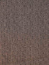 WOMEN'S Pure Wool SOFT FEEL WARM WOOLLEN STOLE