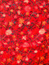 Women's Embroidered Wool Stole
