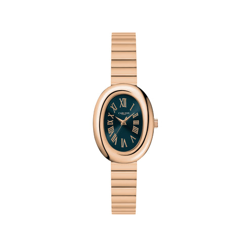 Carlton London Women Daphne Analog Watch CL-DA-TL