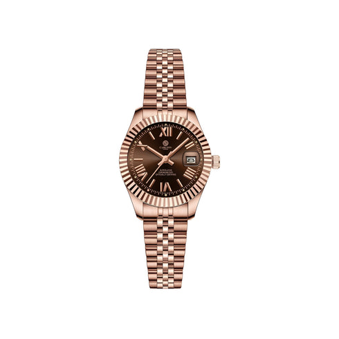 Harper: Mini Brown Stainless Steel Women Analog Watch CLRLW-003