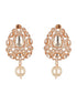 Gold Plated Uncut Mossanite Polki Statement Floral Drop Studds Earrings