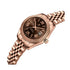 Harper: Mini Brown Stainless Steel Women Analog Watch CLRLW-003