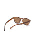 Unisex Brown Toned Brown UV Protected Lens Oval Sunglasses
