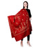 Women's Hand Embroidered Wool Shawl