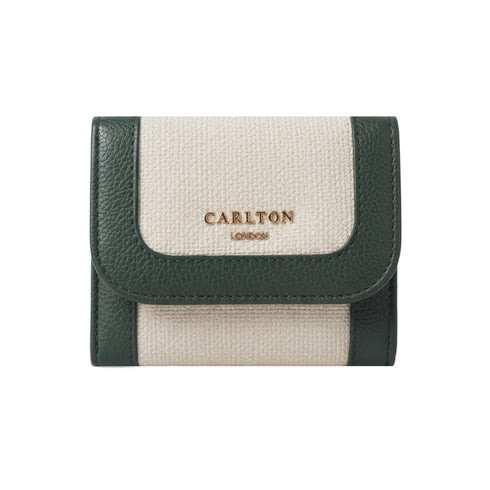 Carlton London Color blocked Textured Two Fold Wallet Green