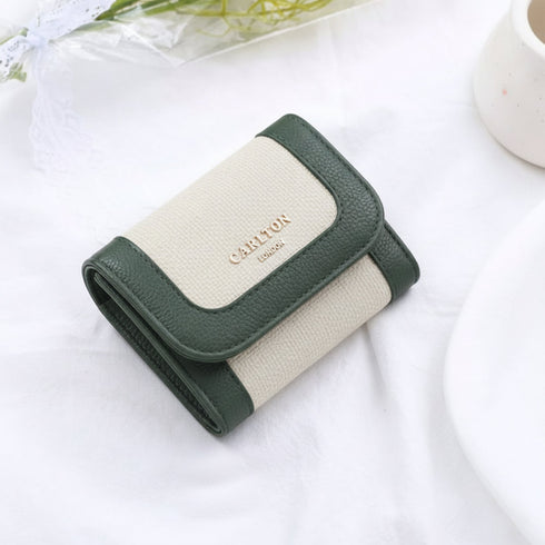 Carlton London Color blocked Textured Two Fold Wallet Green