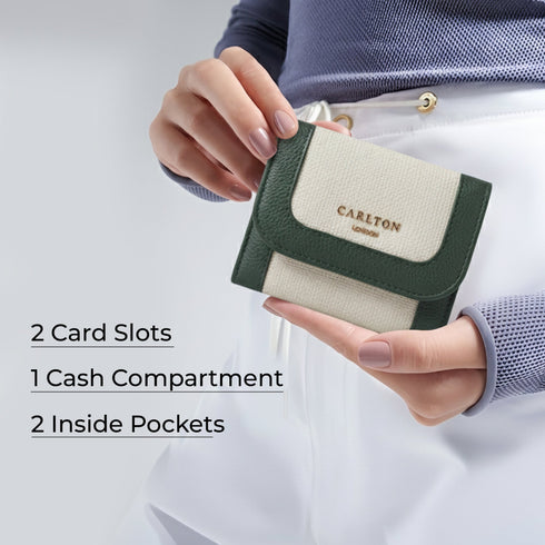 Carlton London Color blocked Textured Two Fold Wallet Green