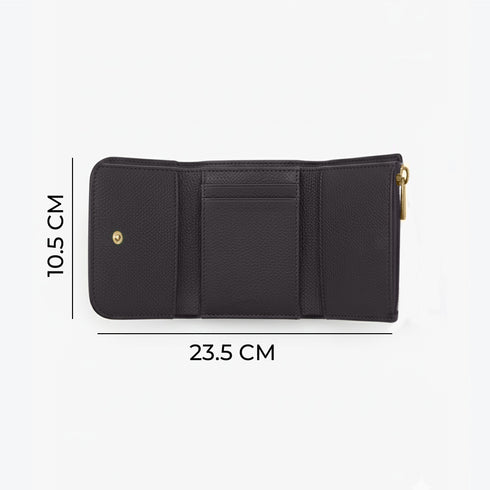 Carlton London Color blocked Textured Two Fold Wallet Brown