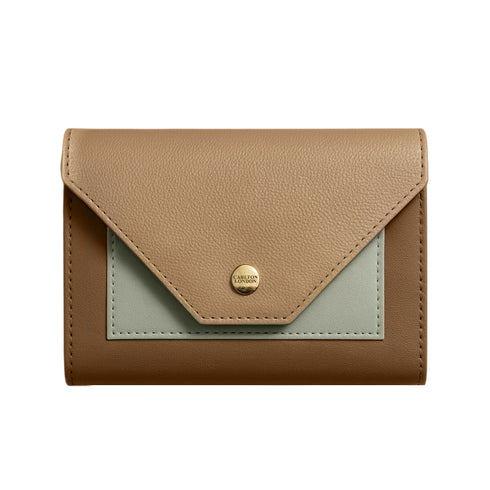 Carlton London Tan Colorblocked Two Fold Wallet CLHB 31