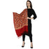 Women's Aari Embroidered Wool Stole
