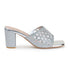 Women Embellished Block Heel Sandals