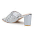 Women Embellished Block Heel Sandals