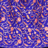 Women's Aari Embroidered Wool Stole