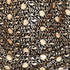 Women's Aari Embroidered Wool Shawl