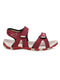 JOY N Maroon Men's Sandals