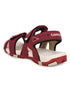 JOY N Maroon Men's Sandals