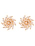 Gold plated AD studded Sparkling star Stud Earrings