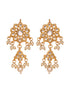 Gold Plated Kundan Studded & pearl BeadedFloral Drop Earrings