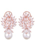 Luxurious Diamond Pearl Drop Earring High Quality White Pearl AD studded