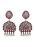 Oxidised Silver Toned Red Stone Studded Tribal Necklace Jewellery set