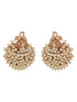 Gold Plated Pearl Beaded Peacock Temple Studds Earring