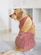 Dogs' Maroon Woven Silk Blend Lehenga Choli Set