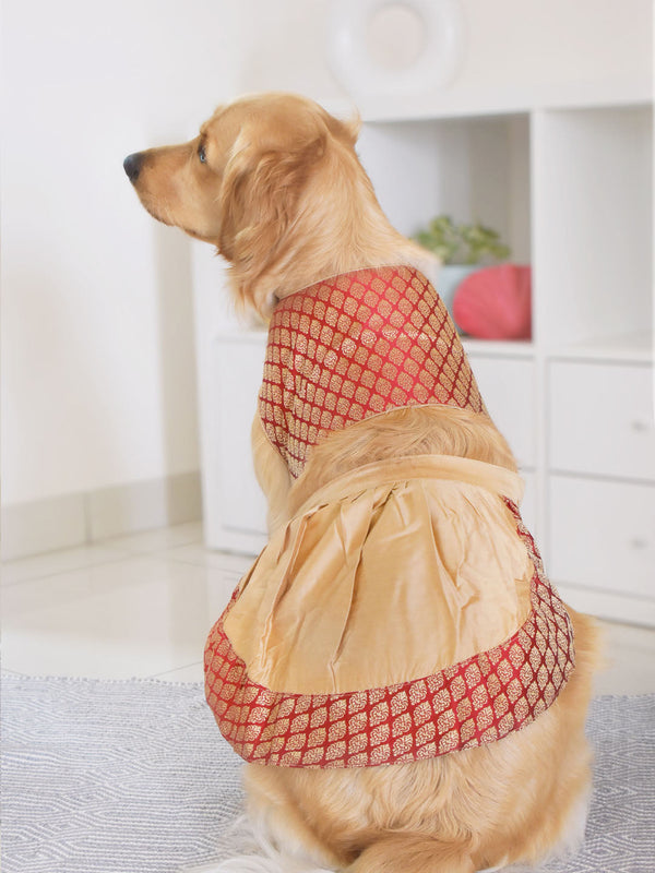 Dogs' Maroon Woven Silk Blend Lehenga Choli Set