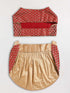 Dogs' Maroon Woven Silk Blend Lehenga Choli Set