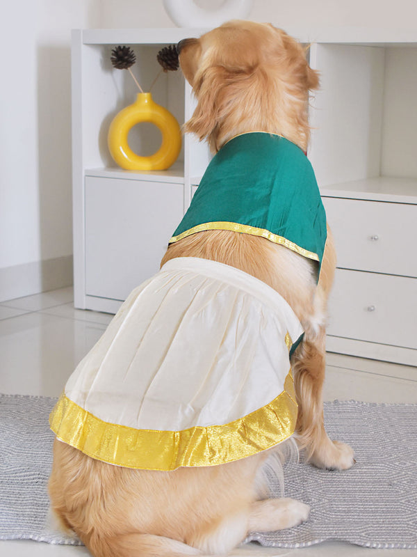 Dogs' Green Solid South Indian Style Lehenga Choli Set