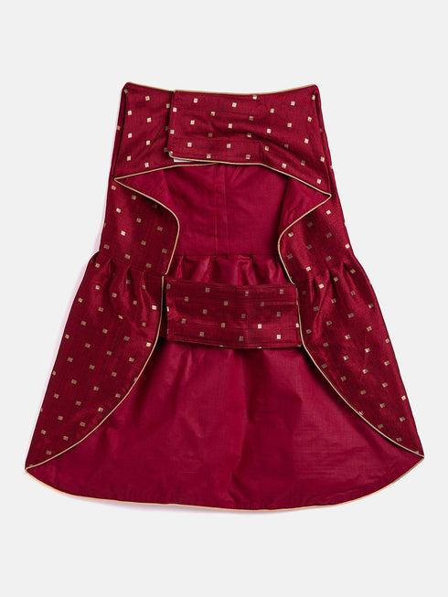Maroon And Gold Silk Blend Siblings Set For Dogs