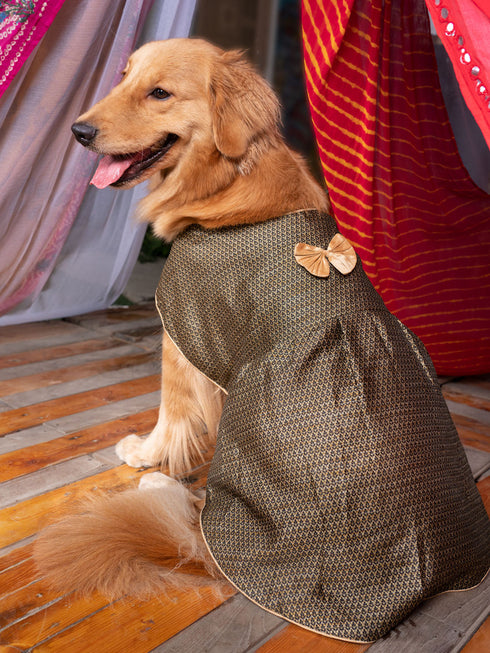 Dogs' Black Woven Silk Blend Dress