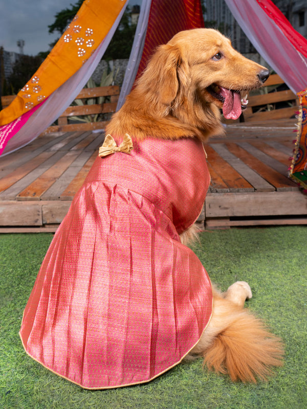 Dogs' Pink Woven Silk Blend Dress