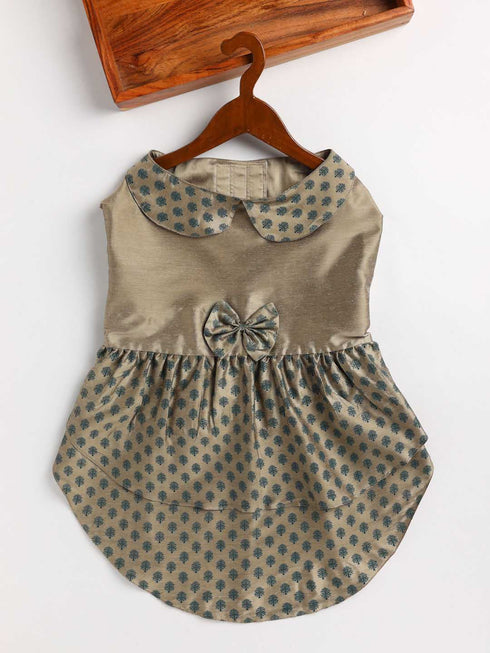 Dogs' Chiku Printed Flared Frock With Attached Bow