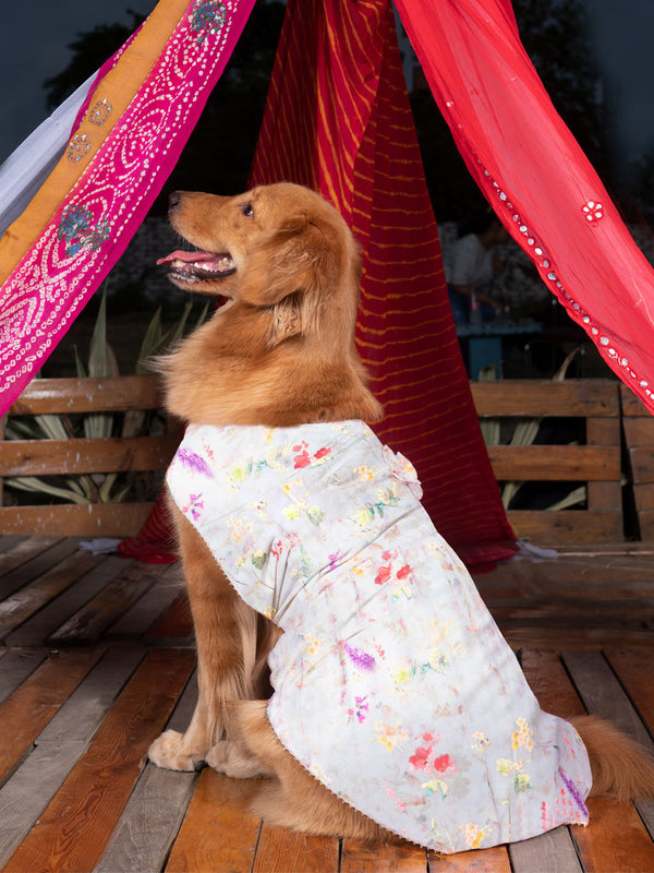 Dogs' Cream Floral Printed Cotton Blend Dress