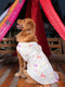 Dogs' Cream Floral Printed Cotton Blend Dress