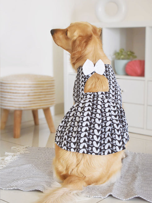 Dogs' Black Chikankari Flared Dress With Attached Bow