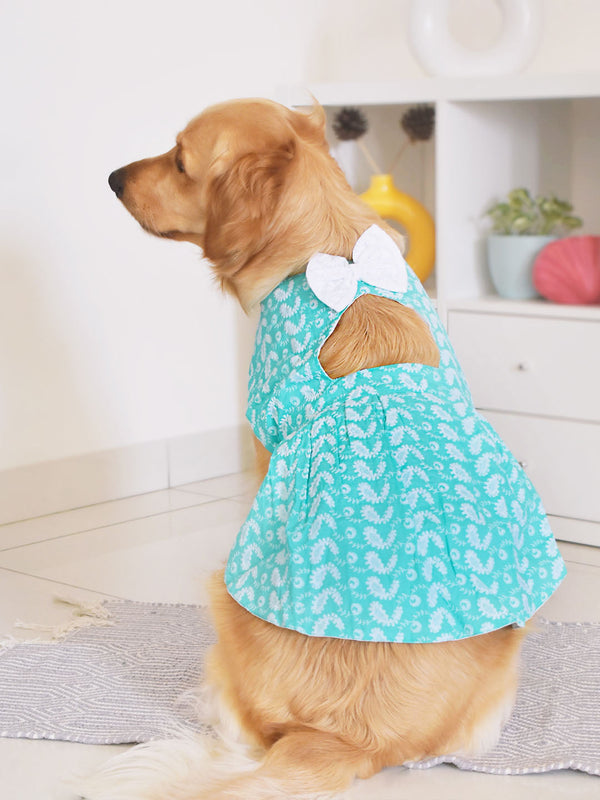 Dogs' Green Chikankari Flared Dress With Attached Bow