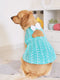 Dogs' Green Chikankari Flared Dress With Attached Bow