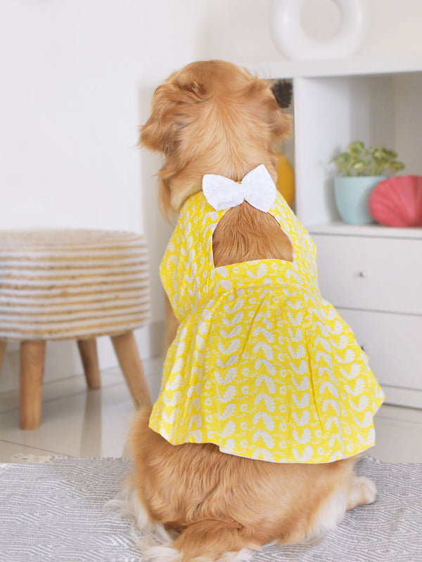 Dogs' Yellow Chikankari Flared Dress With Attached Bow