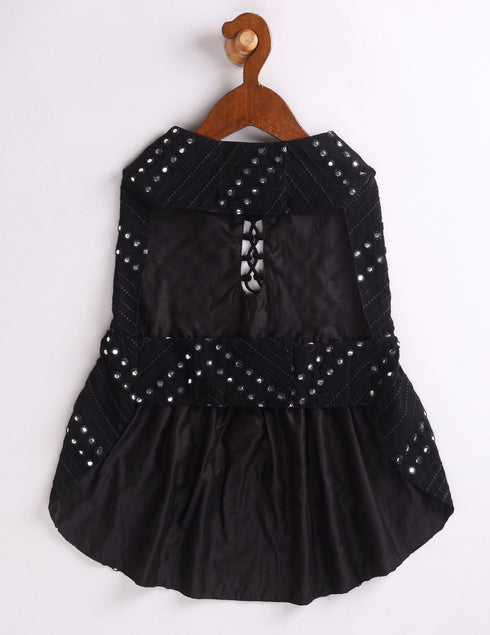 Dogs Allover Mirror Work Embroidered Dress