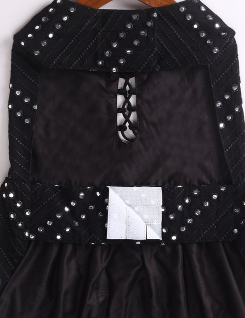 Dogs Allover Mirror Work Embroidered Dress