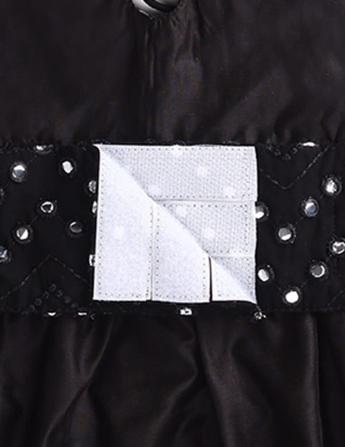 Dogs Allover Mirror Work Embroidered Dress