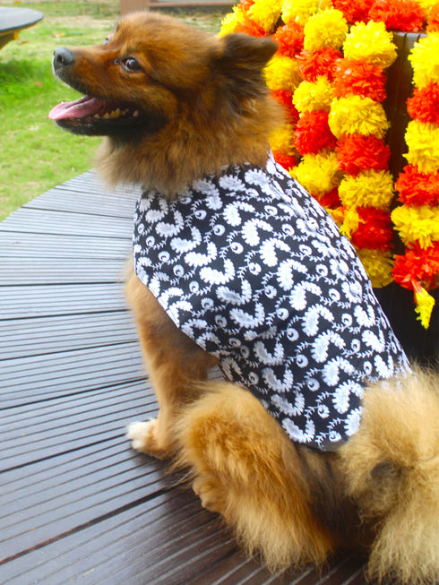 Dogs' Black Chikankari Pure Cotton Ethnic Kurta