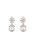 Silver Plated Zercon studded Minimal delicate Floral drop Earringa