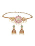 Gold Plated CZ Studded Floral Peacock Choker Jewellery Set