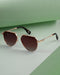 Unisex Premium Polarised UV Protected Brown Lens Gold Toned Aviator Sunglasses
