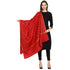Women's Hand Embroidered Wool Shawl