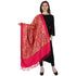 Women's Aari Embroidered Wool Shawl